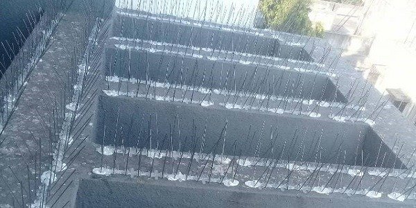 Bird spike deterrents installed on a building ledge